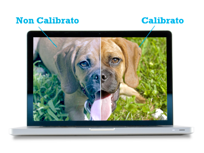 non calibrato vs. calibrato