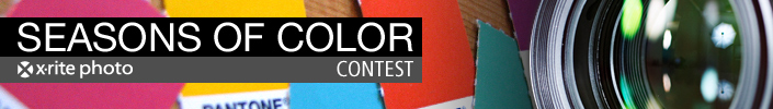 Seasons of Color Photo Contest