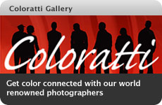 Coloratti Monthly