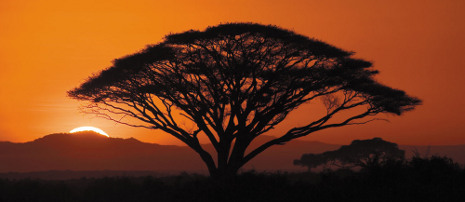 Sunrise in Africa