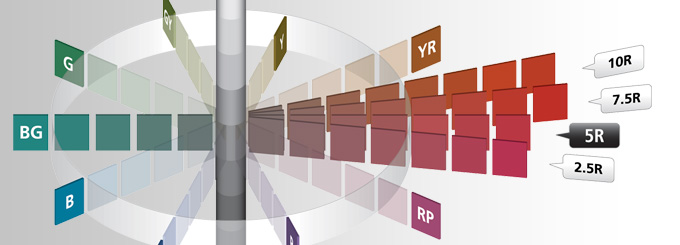 Munsell Color Education Family